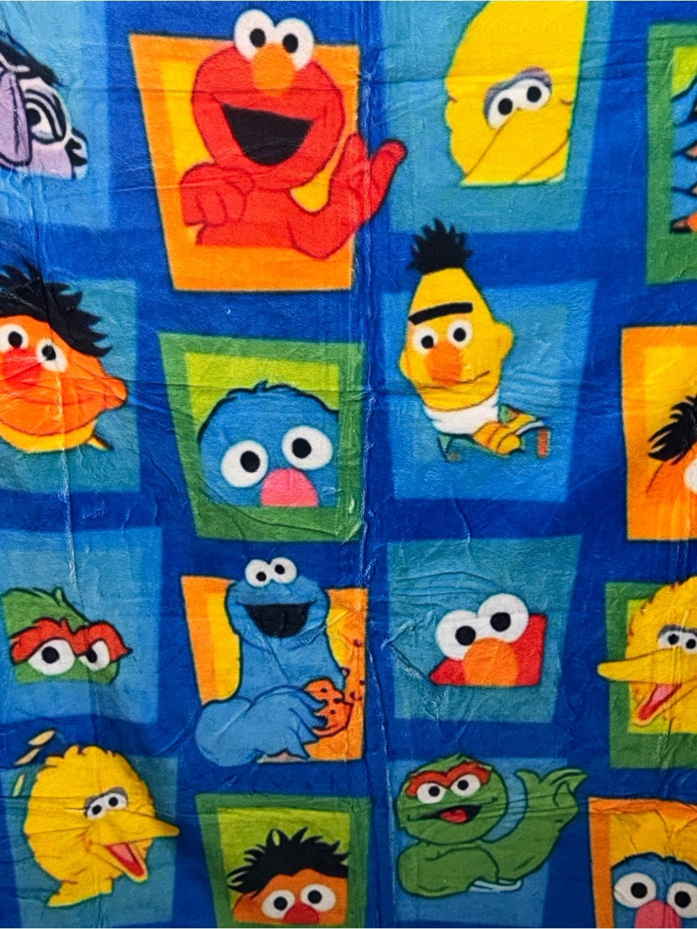 Sesame Street Kids Blue Yellow Orange Plush Throw Blanket